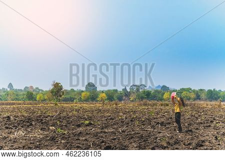 Female Farmer Use Tablet To Take Wide Angle Shots Of Land To Make Farming Decisions In Soil Field. W