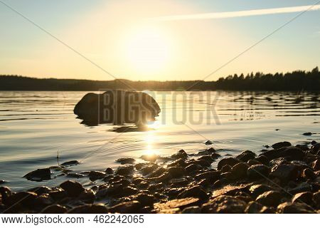 Lake In Sweden, Smalland At Sunset With Rock In Foreground Of Water With Forest In Background. Lands