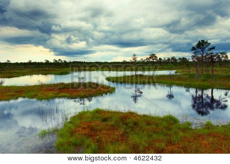 Bog estonien