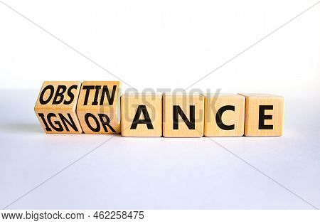 Obstinance Or Ignorance Symbol. Turned Wooden Cubes And Changed The Word Ignorance To Obstinance. Be