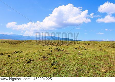 Lush Grasslands On A Prairie Taken At A Grassy Field In Warner Springs, Ca