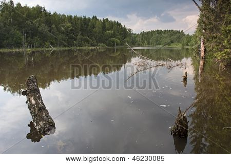 Lake Forest em mid-Russia