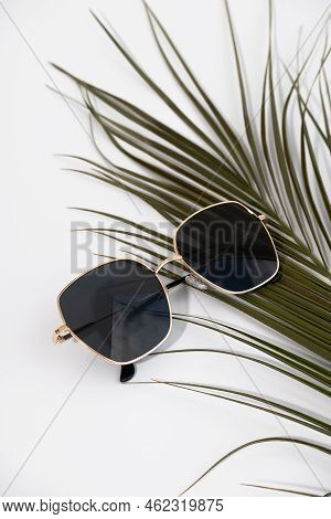 Stylish Sunglasses On A White Background With Green Plants