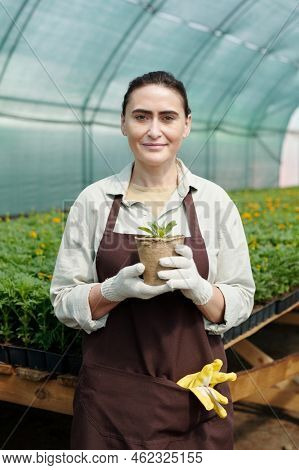   face of gloved female fermer in apron holding pot with green seedling agnst workplace