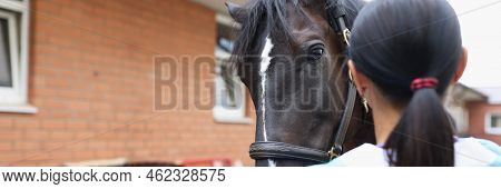 Veterinarian Conducts Medical Examination Of Horse On Farm. Medical Diagnosis Of Diseases Concept
