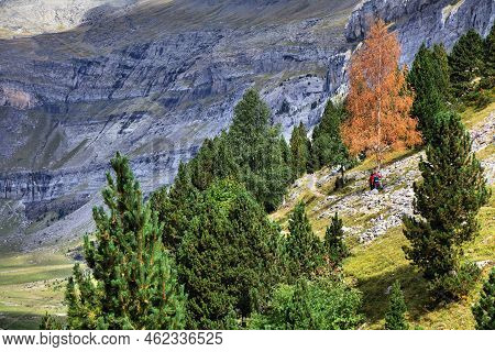 Hiking Trail In Spain. Ordesa Valley In Spanish Pyrenees. Senda De Los Cazadores Hike In Ordesa Y Mo