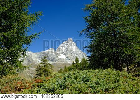 Matterhorn - Il Cervino Surrounded By Trees With Clear Blue Sky Background
