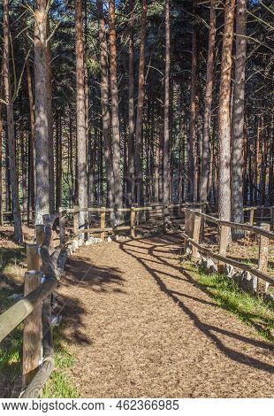 La Garganta Forest Wooden Handrail. Magic Place In The Heart Of Ambroz Valley, Banos De Montemayor, 