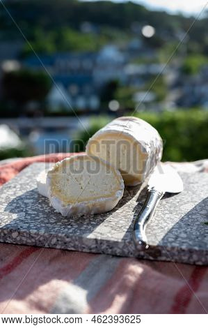French Cheeses, Cylindrical Neufchatel Cow Cheese With Mold, Neufchâtel-en-bray, Normandy, France