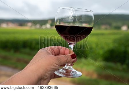 Tasting Of Red Dry Pinot Noir Wine In Glass On Premier And Grand Cru Vineyards In Burgundy Wine Maki