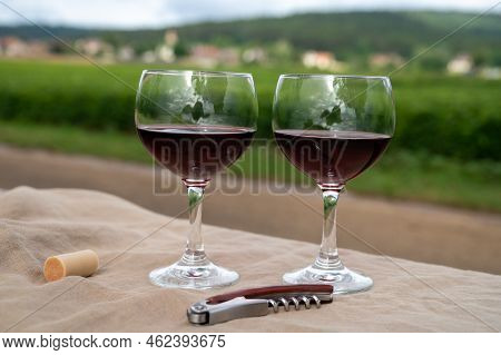 Tasting Of Red Dry Pinot Noir Wine In Glass On Premier And Grand Cru Vineyards In Burgundy Wine Maki