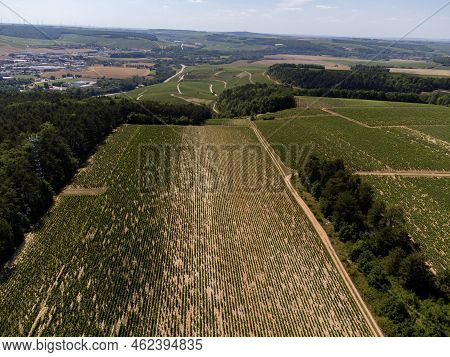 Aerial View On Chablis Grand Cru Appellation Vineyards With Grapes Growing On Limestone And Marl Soi