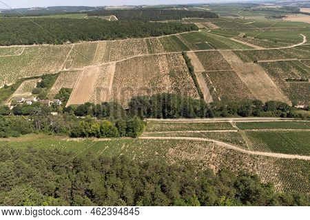 Aerial View On Chablis Grand Cru Appellation Vineyards With Grapes Growing On Limestone And Marl Soi