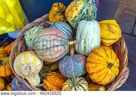 Pumpkins And Gourds In Basket Farmers Market Autumn Season