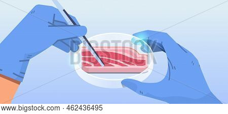 Scientist Hands Holding Cultured Red Raw Meat Made From Animal Cells Artificial Lab Grown Meat Produ