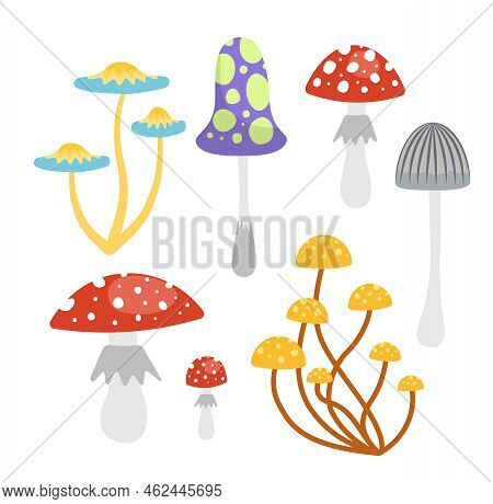 Poisonous Mushrooms Set. Amanita, Fly Agaric, Toxic Mushroom, Grebe. Flat, Cartoon, Vector