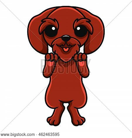 Vector Illustration Of Cute Pudelpointer Dog Cartoon Standing
