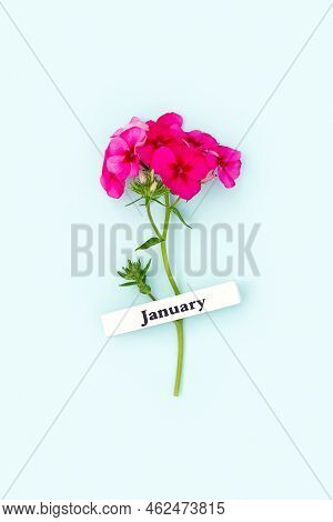 Calendar Winter Month January And Red Flower On Blue Background. Top View Flat Lay. Minimal Concept 