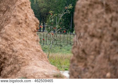 Close-up Background Of The Wall Of An Old House Made Of Clay Mixed With Straw. The Old Way Of Buildi