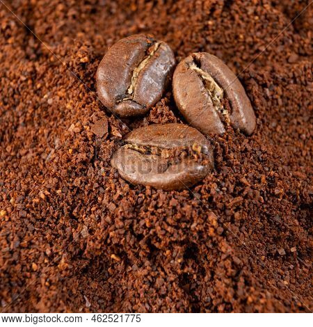 Three Coffee Beans Lie On Ground Coffee Close-up.