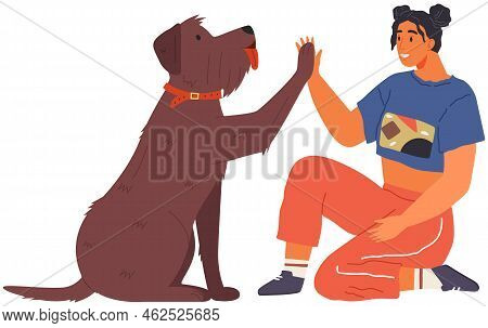 Female Pet Owner Plays With Dog. Caring For Four-footed Friend Concept. Happy Lady With Puppy, Domes
