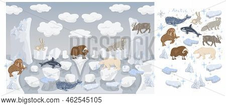 Arctic Animals Nature Wild World Cold North Cute Cartoon Ice Snowflake Polar Bear Muskox Sperm Whale