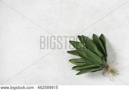 Bunch Of Fresh Organic Sage. Seasonings And Spices. Selective Focus, Copy Space
