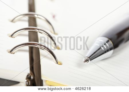 Dettaglio della penna e Agenda aperta