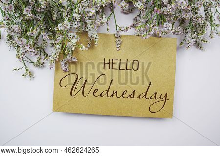 Hello Wednesday Written On Paper Card With Flower Frame Decoraton On Pink Background