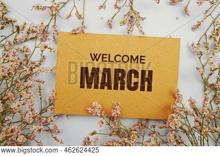Welcome March Written On Paper Card With Flower Frame Decoraton On Pink Background