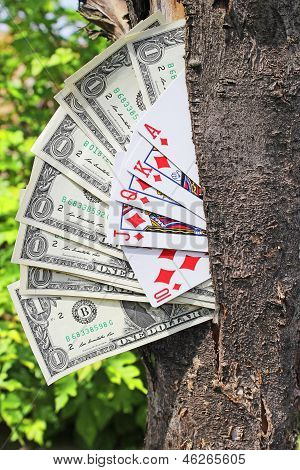 Money tree and playing cards