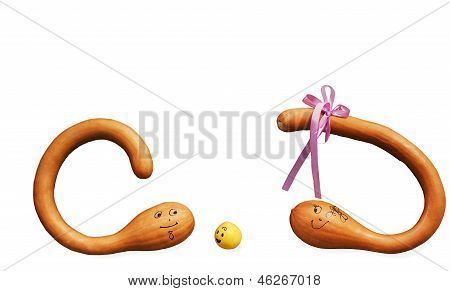 Calabaza vegetal