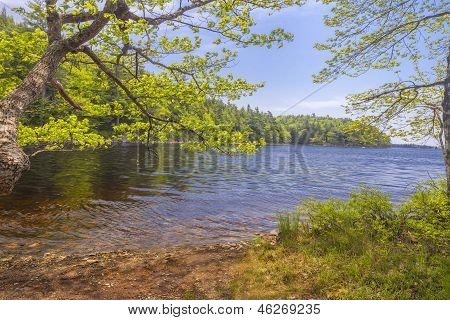 ทะเลสาบ