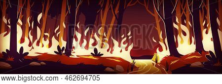 Burning Wildfire At Night. Fire In Forest. Vector Cartoon Illustration Of Burnt Landscape, Nature Di