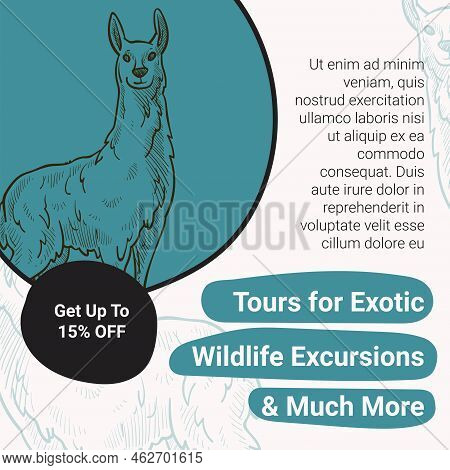 Tours For Exotic Wildlife Excursions And Mush More