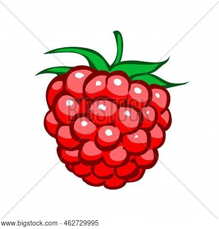 One Red Raspberry. Close Up. Delicious Natural Dessert. Sweet Ingredient For Cooking. Cartoon Vector
