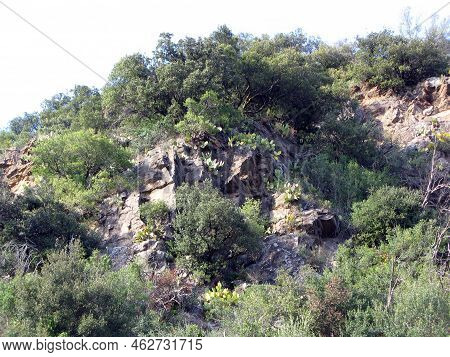 Catalonia. Mountain Slopes Near The Road With Stones, Thorny Bushes And Trees. Road Ap-7, Near The B