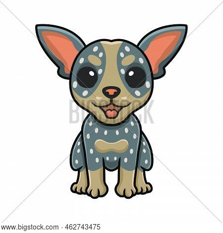 Vector Illustration Of Cute Australian Cattle Dog Cartoon