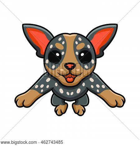 Vector Illustration Of Cute Australian Cattle Dog Cartoon