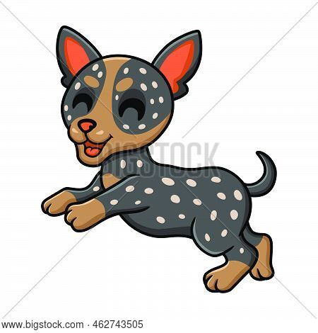 Vector Illustration Of Cute Australian Cattle Dog Cartoon