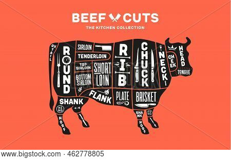 Cow, Beef. Scheme, Diagram, Chart Beef, Butcher Guide. Poster For Kicthen Or Bar Wall Design. Vintag