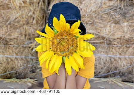 The Child Hid His Face Behind A Sunflower
