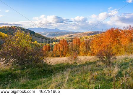 Fantastic Autumn Afternoon In Carpathians. Iconic Picture Of Transcarpathia With Pikui Peak In The D