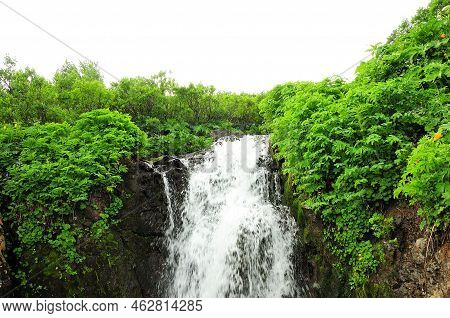 A Small Stormy Waterfall Flows Down A Cliff In A Thicket Of Low Bushes On A Cloudy Summer Day.