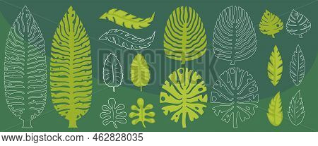 Set of vector leaves elements illustration in color and white line.