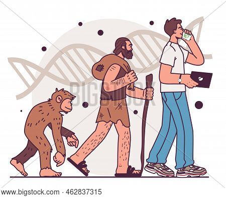 Human Evolution Stages. Evolutionary Development From Primate