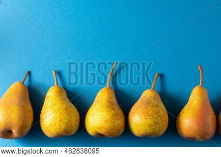 Yellow Pears On A Blue Background. Fruit Harvest. Autumn Still Life. Pear Variety Bera Conference. V