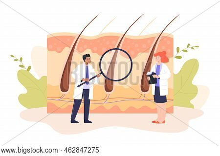 Team Of Tiny Dermatologists Examining Hairs. Cartoon Doctors Giving Hair Transplants Flat Vector Ill