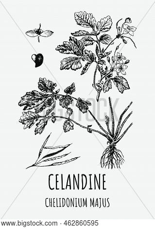 Art & Illustration