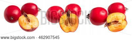 Hawthorn Slice Berry Isolated On White Background Close-up.